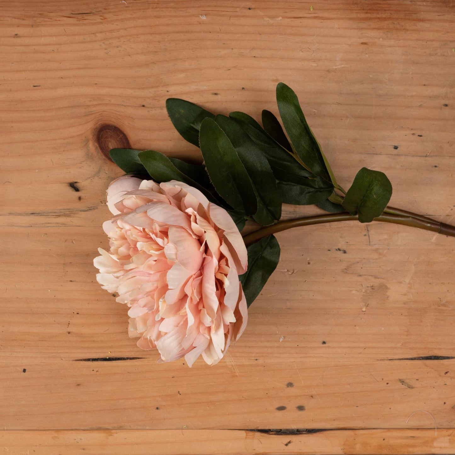 Peach Pink Peony Rose Luxury Faux Flower Stem