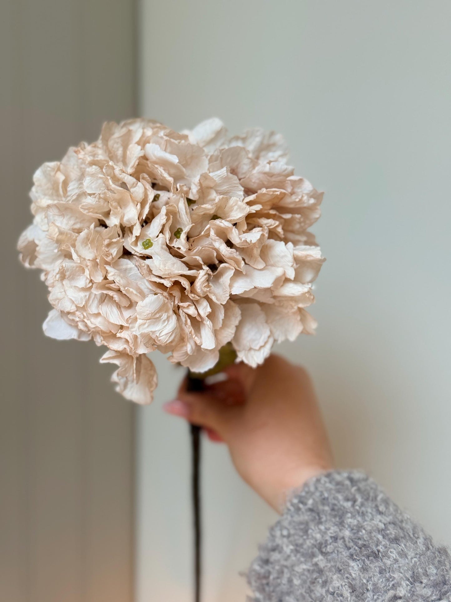 Dried Look Blush and Dusky Pink Artificial Hydrangea Stems