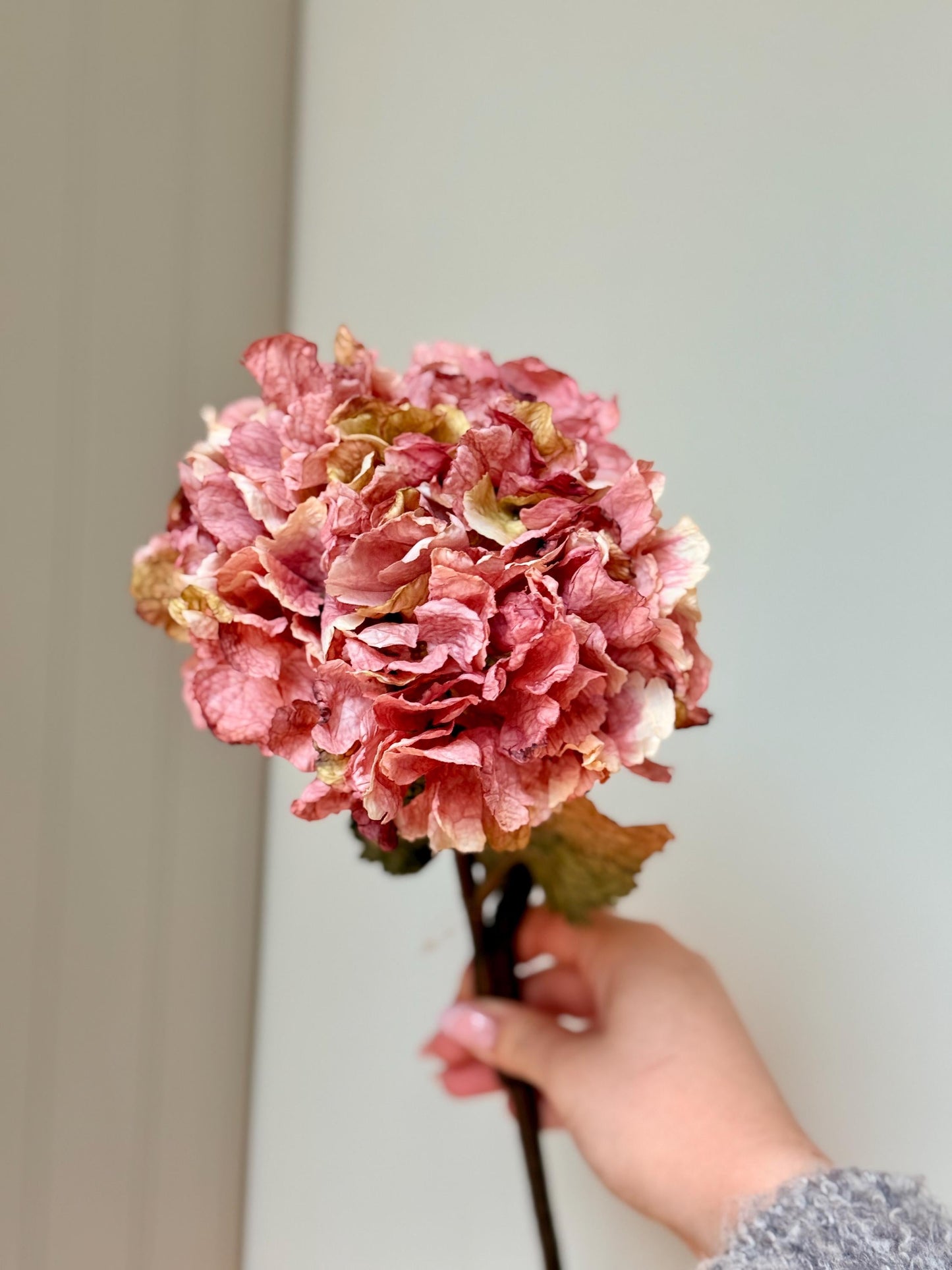 Dried Look Blush and Dusky Pink Artificial Hydrangea Stems