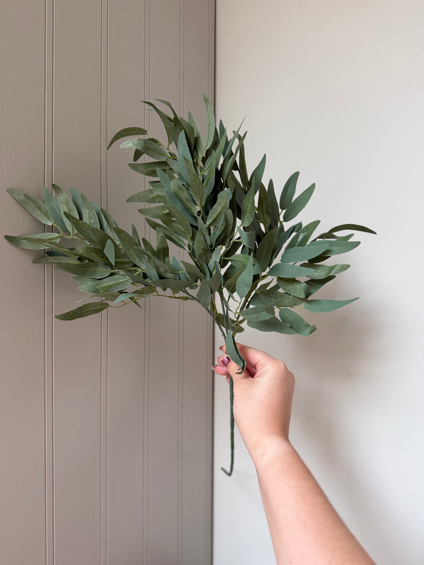 Green Ruscus Foliage Spray