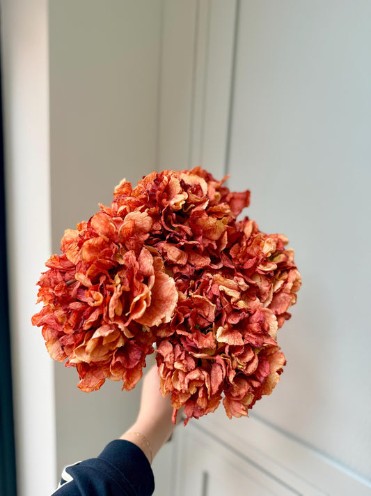 Dried Orange Artificial Hydrangea Stems | Silk Faux Flowers
