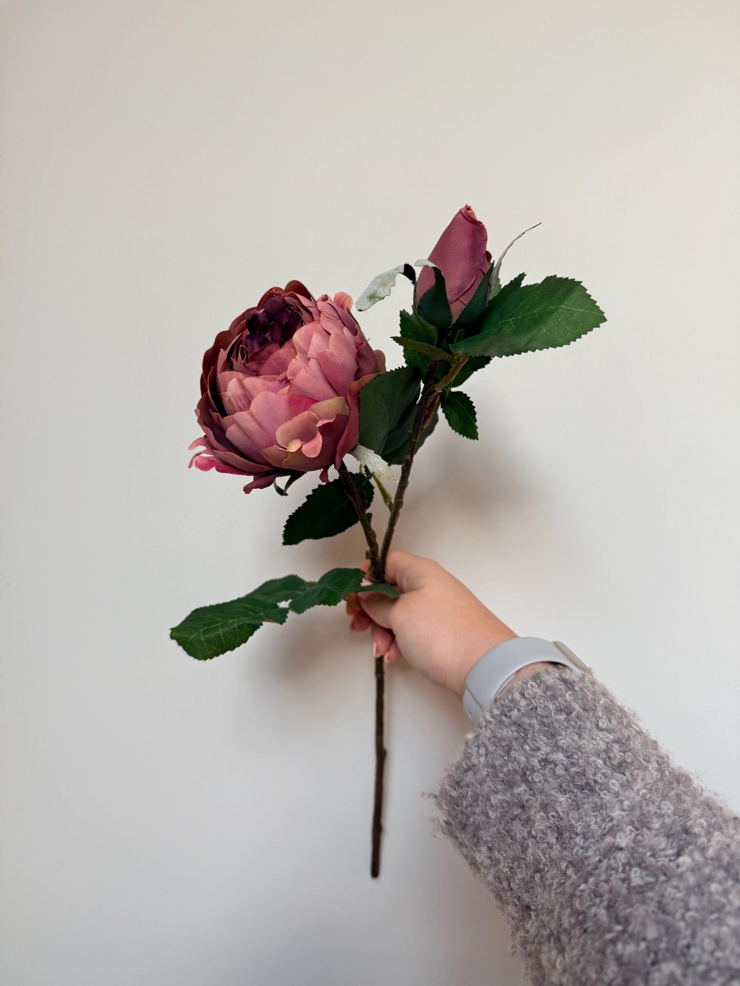 Dusky Pink Peony Stem