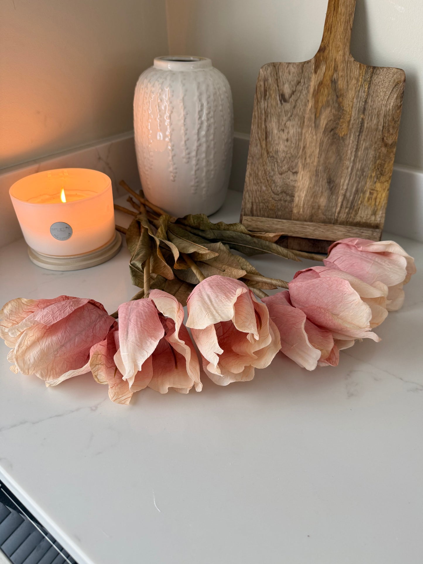 Blush Tulip Stems