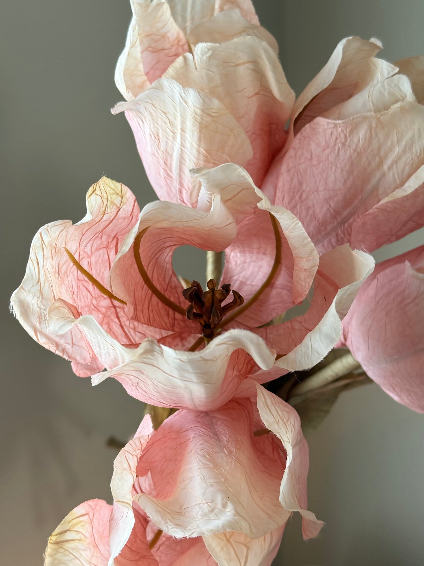 Blush Tulip Stems