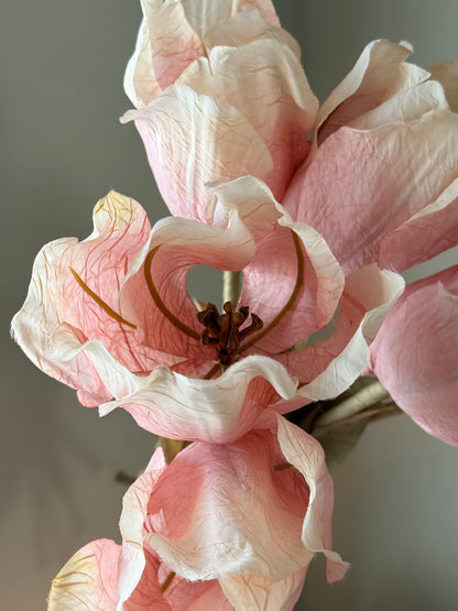 Blush Tulip Stems