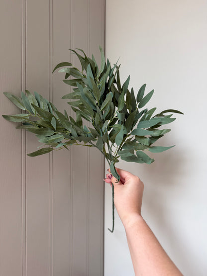 Green Ruscus Foliage Spray