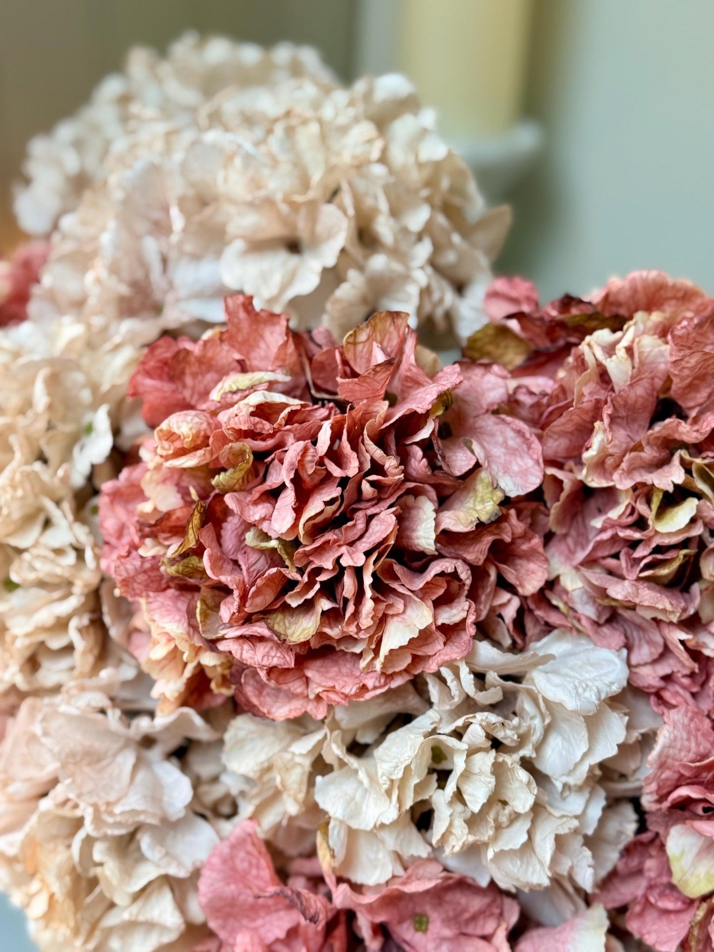 Dried Look Blush and Dusky Pink Artificial Hydrangea Stems - NalaWillowCo