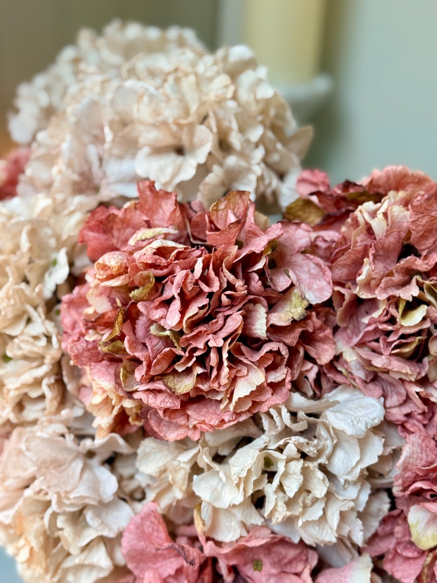 Dried Look Blush and Dusky Pink Artificial Hydrangea Stems - NalaWillowCo