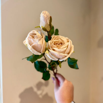 Dry Look Blush Oyster Rose Sprays - NalaWillowCo