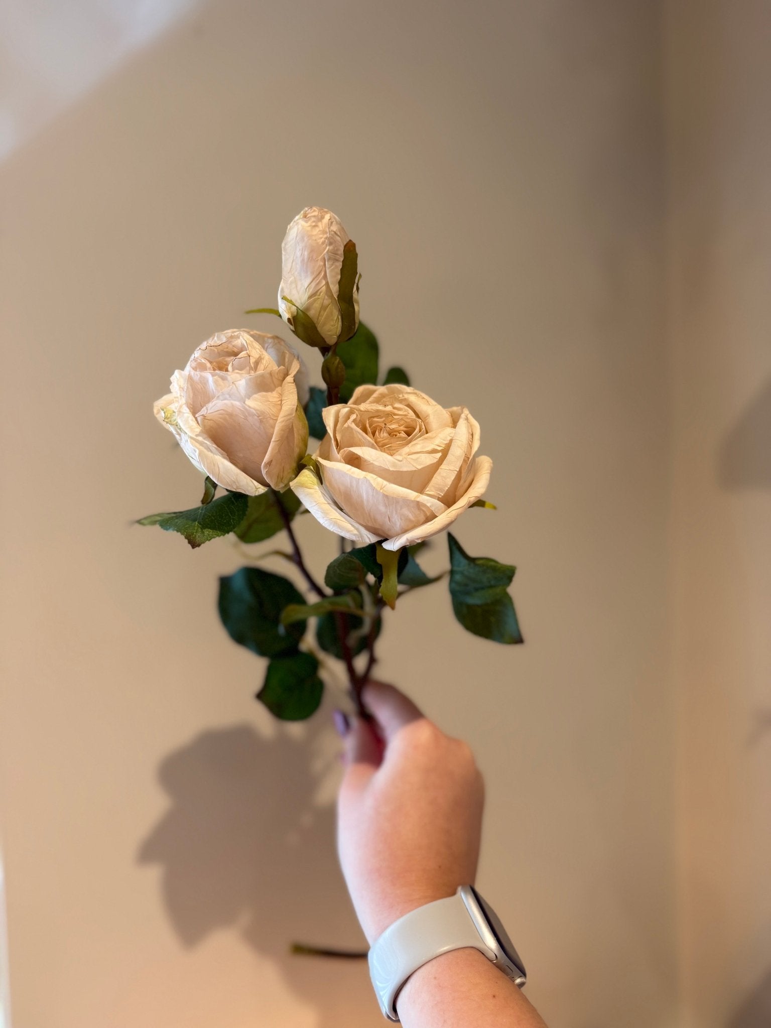 Dry Look Blush Oyster Rose Sprays - NalaWillowCo