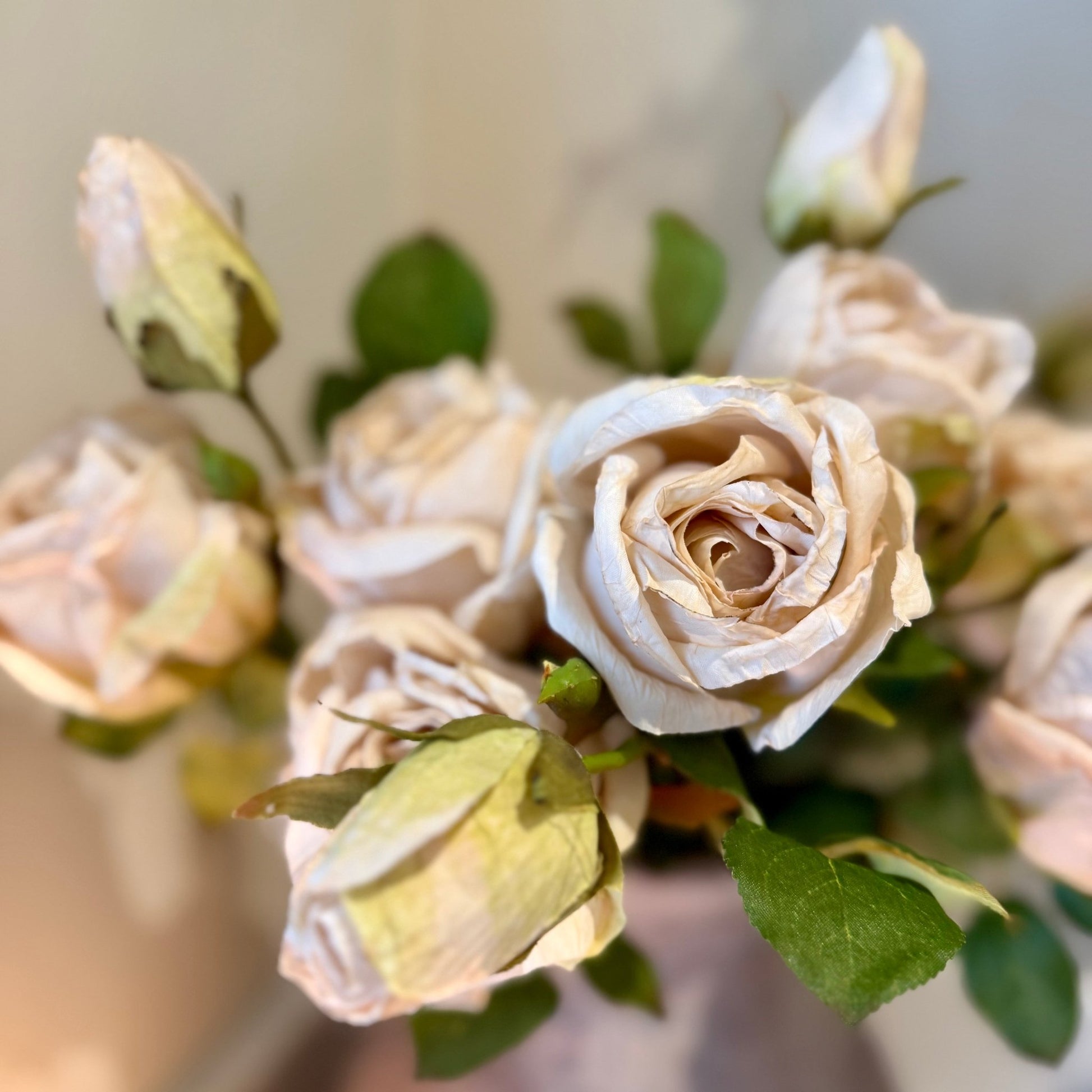 Dry Look Blush Oyster Rose Sprays - NalaWillowCo