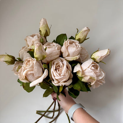Dry Look Blush Oyster Rose Sprays - NalaWillowCo