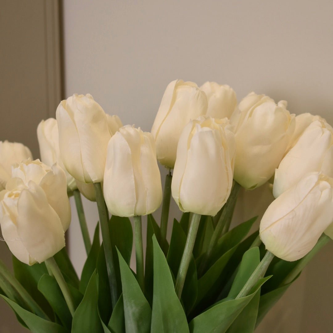 Ivory Tulip Stems - NalaWillowCo