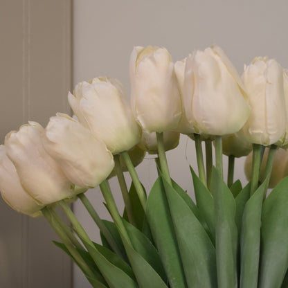 Ivory Tulip Stems - NalaWillowCo