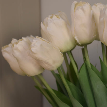 Ivory Tulip Stems - NalaWillowCo