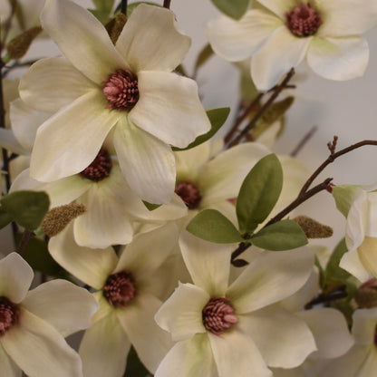 Magonlia Spray Stems - NalaWillowCo
