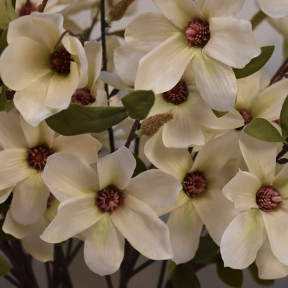 Magonlia Spray Stems - NalaWillowCo
