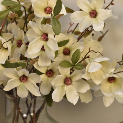 Magonlia Spray Stems - NalaWillowCo