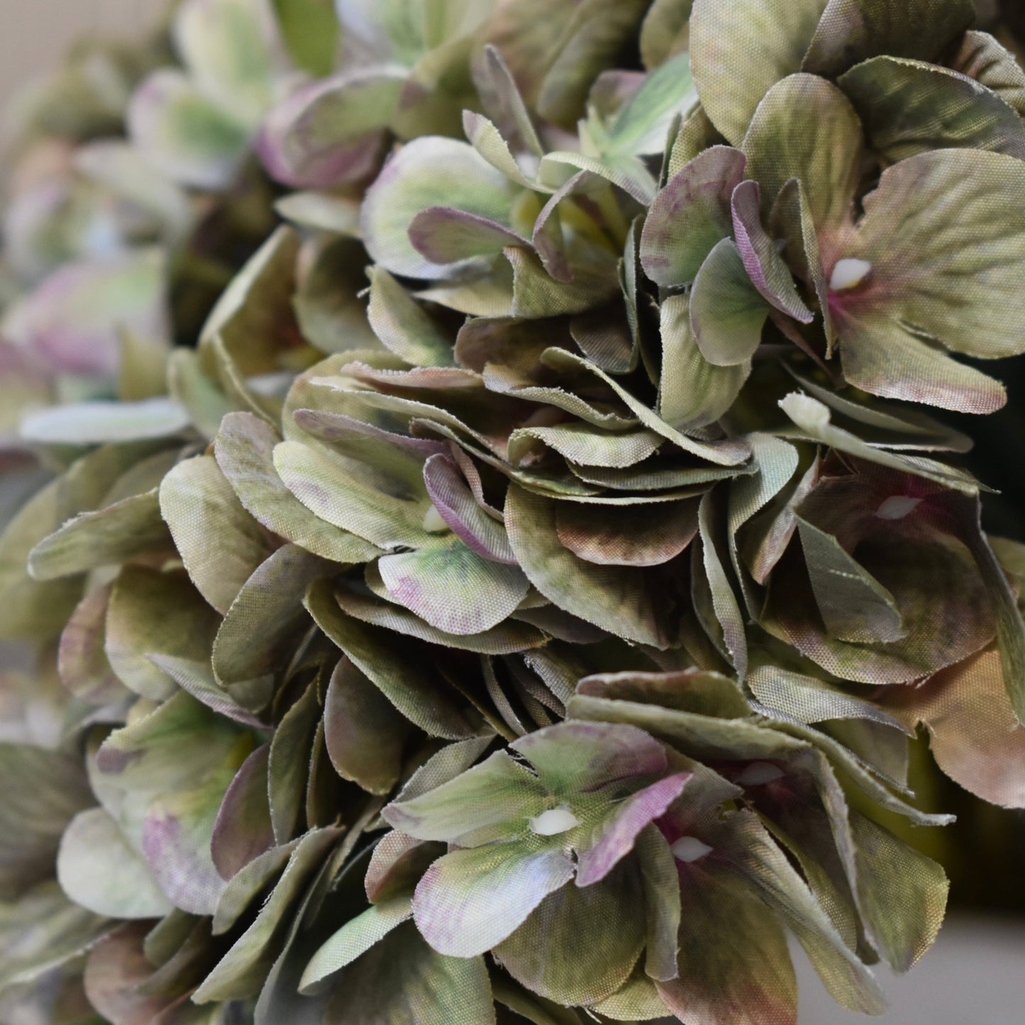 Pale Green Hydrangea Stem - NalaWillowCo