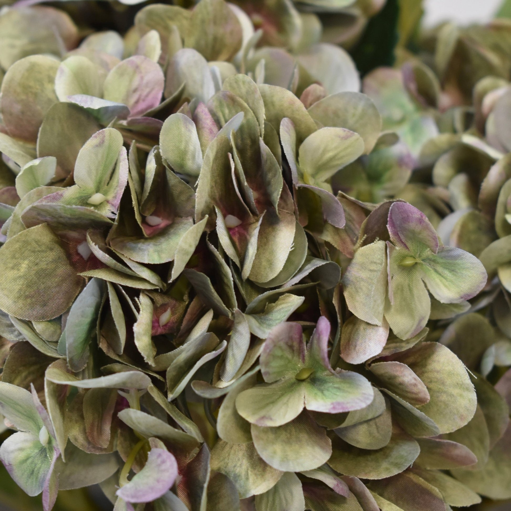 Pale Green Hydrangea Stem - NalaWillowCo