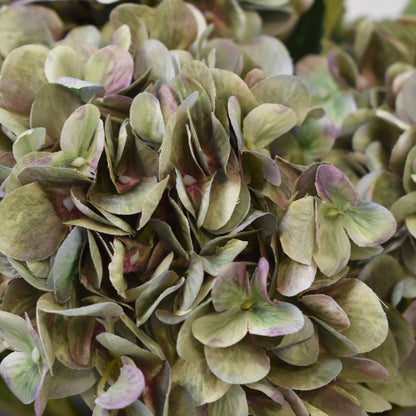 Pale Green Hydrangea Stem - NalaWillowCo
