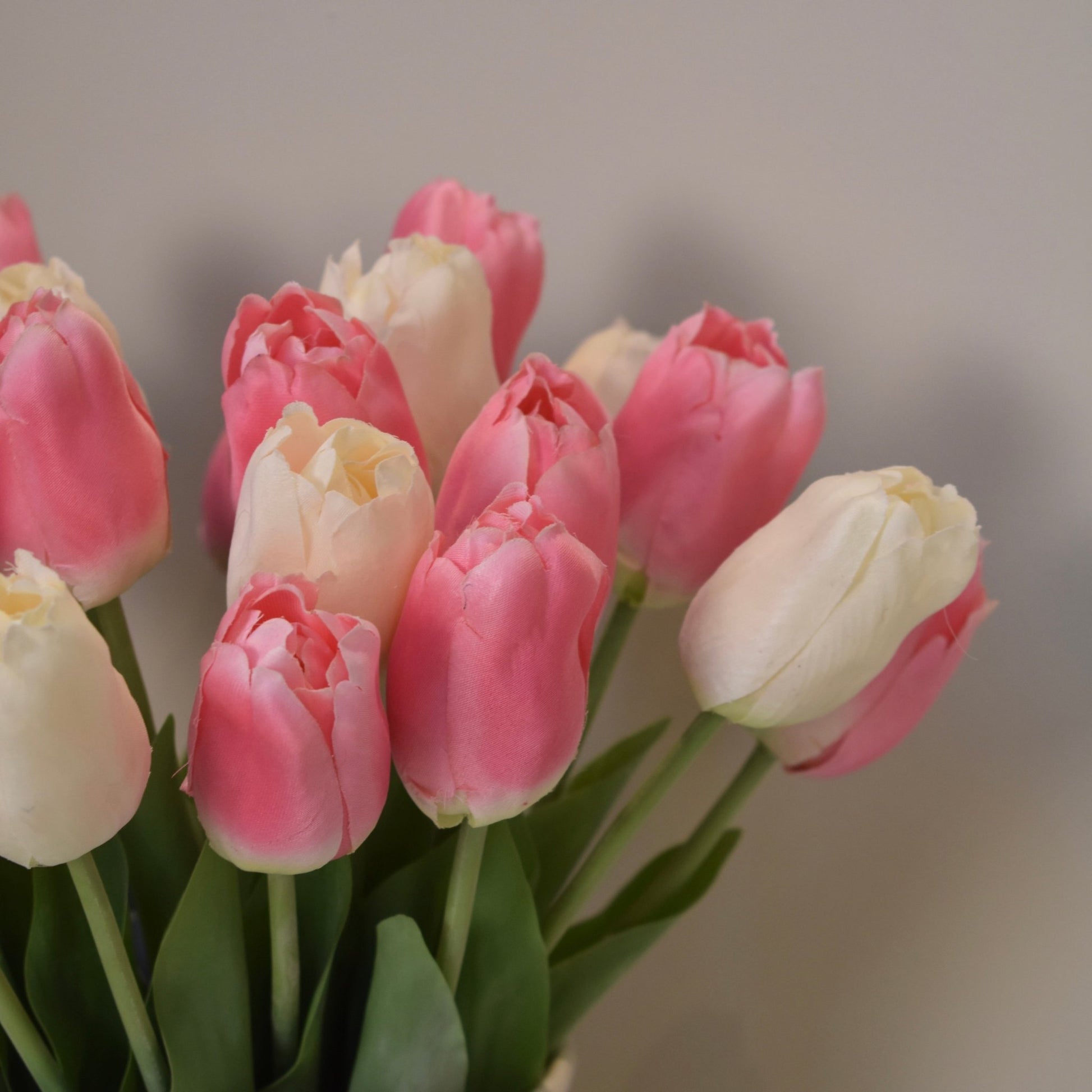 Pink & Ivory Tulip Stems - NalaWillowCo